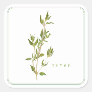 FRESH THYME Large Square Stickers