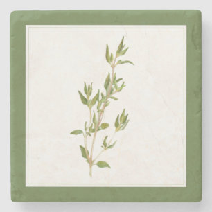 FRESH THYME Marble Stone Coaster (-text) Green