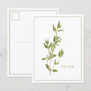 FRESH THYME Postcard