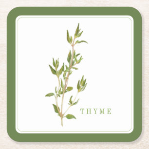 FRESH THYME Square Paper Coasters (+text) Green