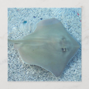 Fresh Water Stingray Invitations