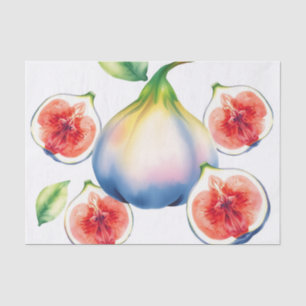 Fresh Watercolor Fig with Soft White  Tissue Paper