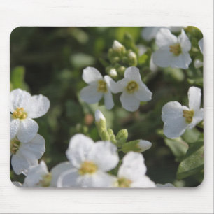 Fresh white summer garden flowers and green leaves mouse pad