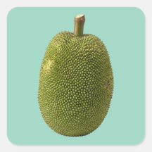 Fresh Whole Jackfruit Illustration