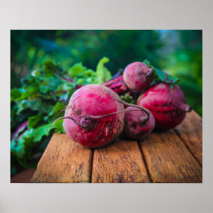 Freshly Harvested Beets Weathered Wooden Table Poster