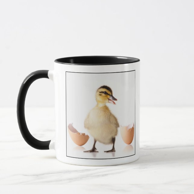 Freshly hatched chick beside broken egg shell mug (Left)