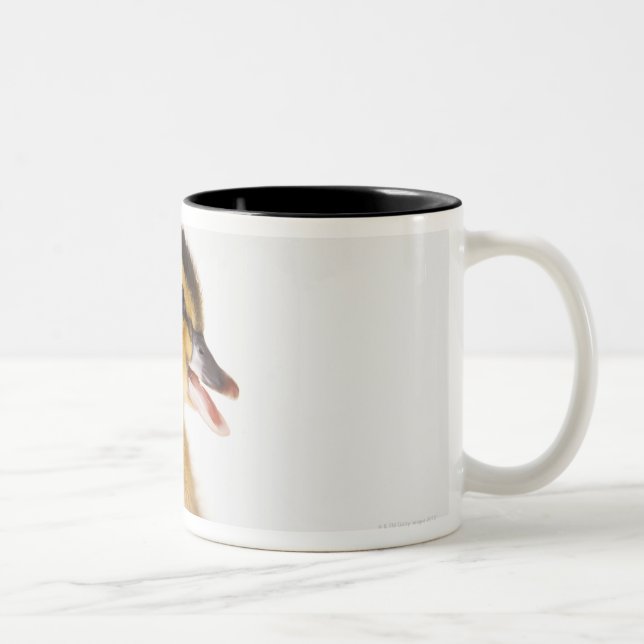 Freshly hatched chick beside broken egg shell Two-Tone coffee mug (Right)
