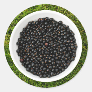 Freshly Picked Blackcurrants Classic Round Sticker