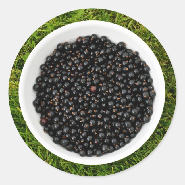 Freshly Picked Blackcurrants Classic Round Sticker (Front)