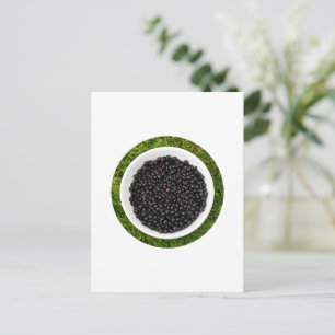 Freshly Picked Blackcurrants Postcard