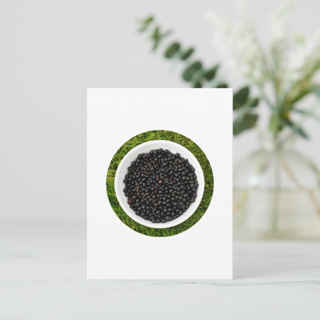 Freshly Picked Blackcurrants Postcard (Standing Front)