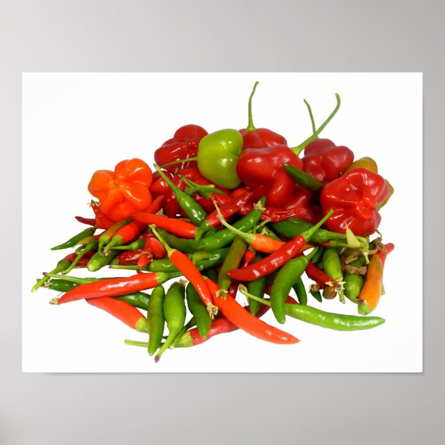 Freshly Picked Chillies Poster (Front)