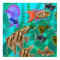 Freshwater Aquarium Fish Poster