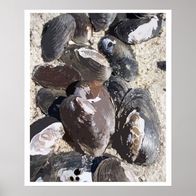 Freshwater Clamshells Beachy Sand Poster (Front)