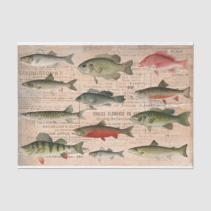 Freshwater Fish of North America Decoupage  Tissue Paper