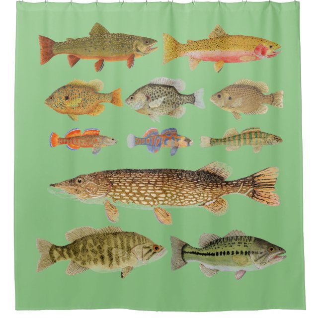 Freshwater Fish Shower Curtain (Front)