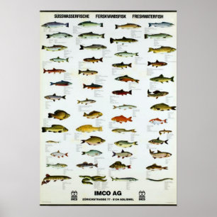 Freshwater Fish Vintage Repro. Print