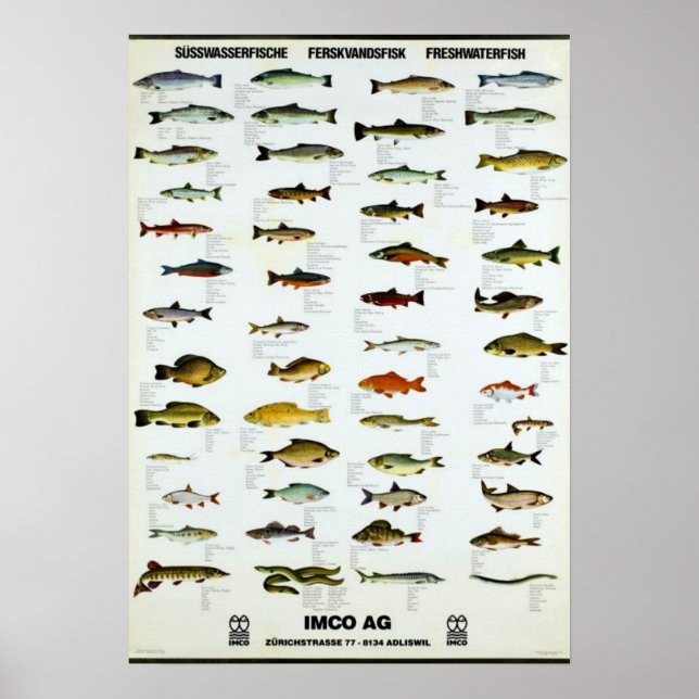 Freshwater Fish Vintage Repro. Print (Front)