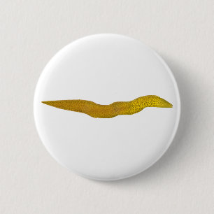 Freshwater Moray 6 Cm Round Badge
