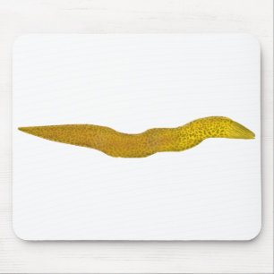 Freshwater Moray Mouse Pad