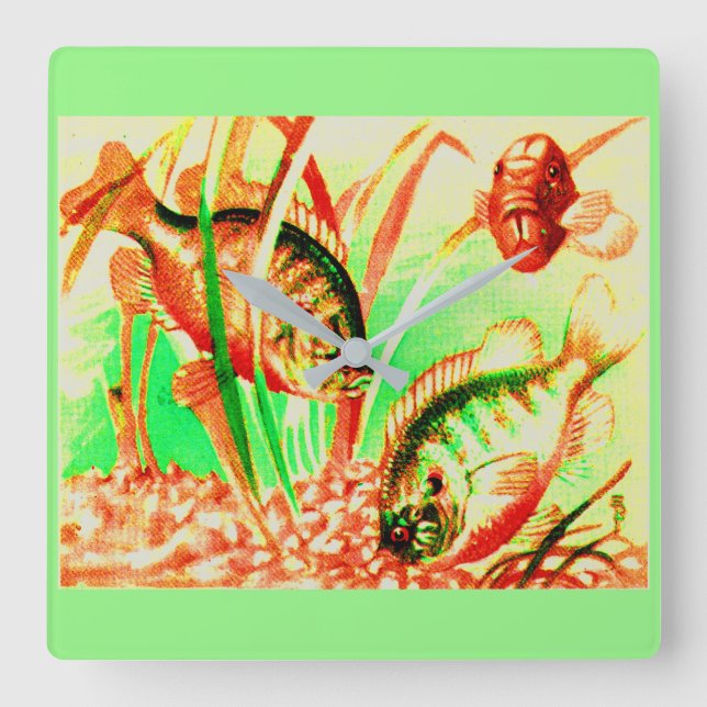 freshwater sunfish square wall clock (Front)