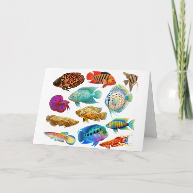 Freshwater Tropical Fishes Card (Front)