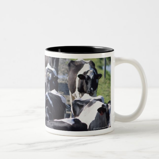 Fresian Dairy Cows, Awaiting Milking, Co Laois, Two-Tone Coffee Mug (Right)
