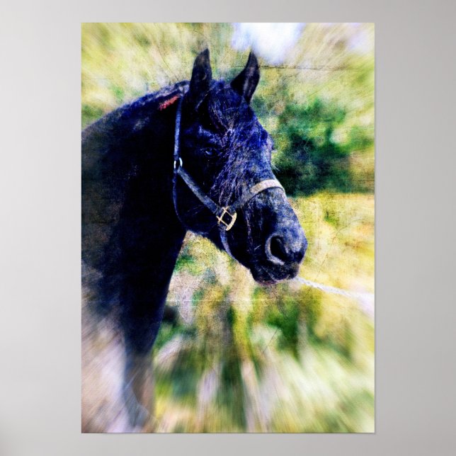 Fresian Horse Digital Art Poster (Front)