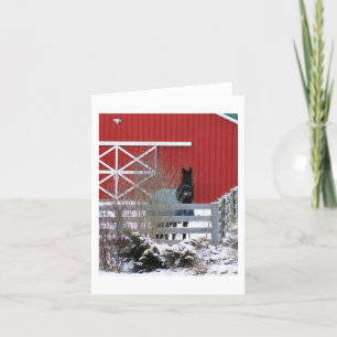 Fresian in the Snow Holiday Card