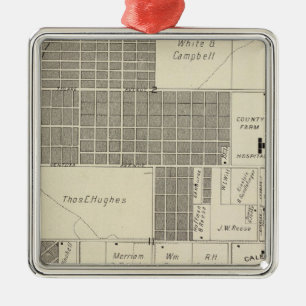 Fresno County, California 18 Metal Tree Decoration