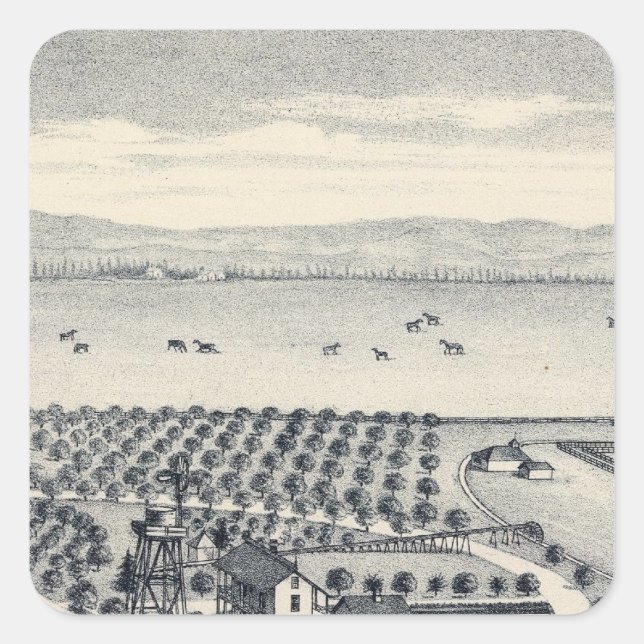 Fresno County, California 20 Square Sticker (Front)