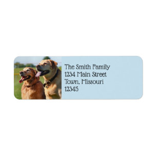 Friands Return Address Label