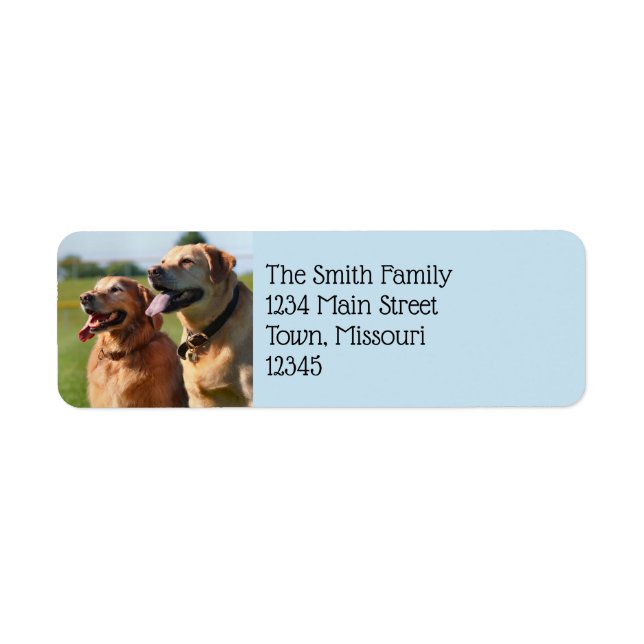 Friands Return Address Label (Front)