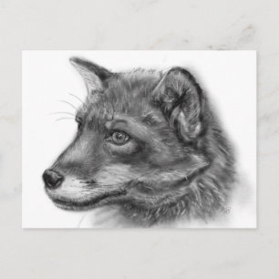 Frida, The Wee Scottish Fox! Postcard