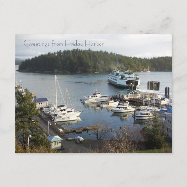 Friday Harbour greetings! Postcard (Front)