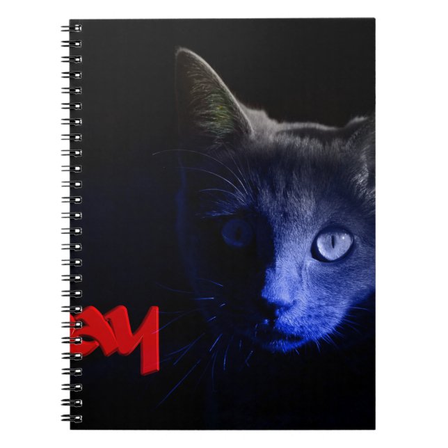 friday the 13th notebook (Front)