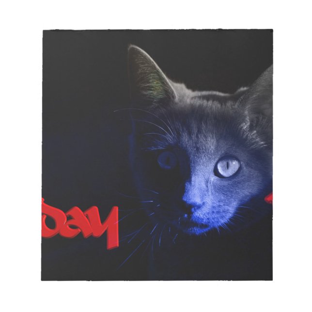 friday the 13th notepad (Front)