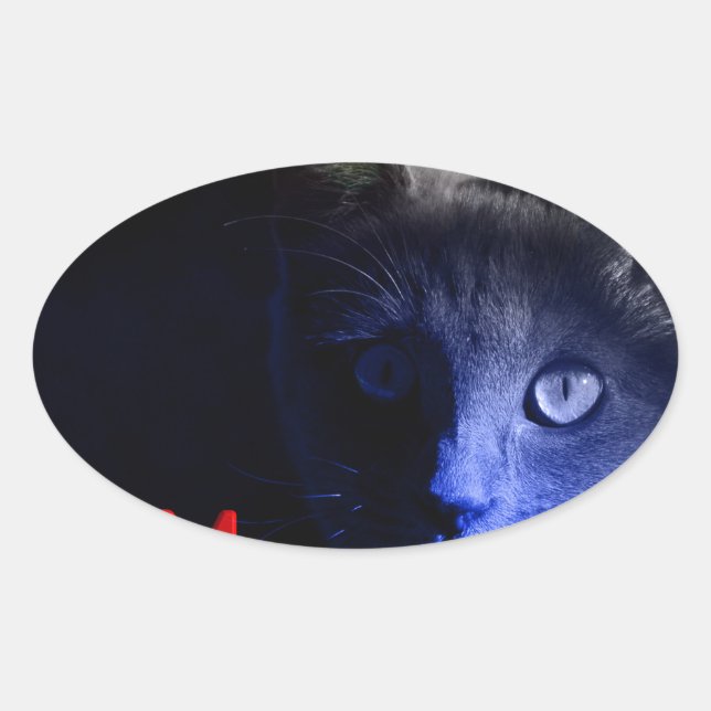friday the 13th oval sticker (Front)