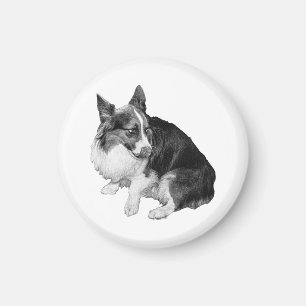 Fridge Sentry Magnet