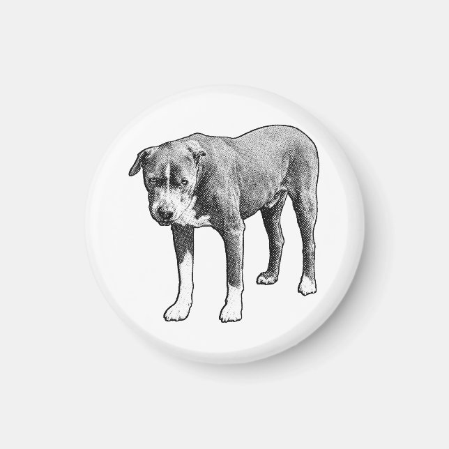 Fridge Spark, Gentle Look Magnet (Front)