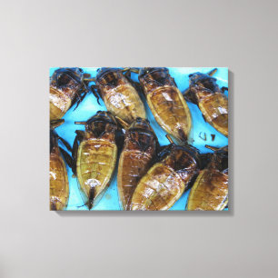 Fried Giant Water Bug (Maeng Daa) ... Asian Food Canvas Print