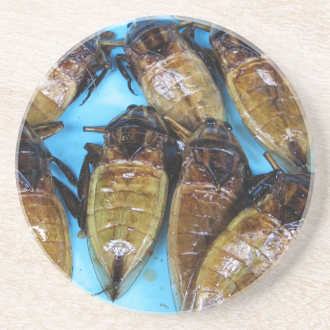 Fried Giant Water Bug (Maeng Daa) ... Asian Food Coaster (Front)