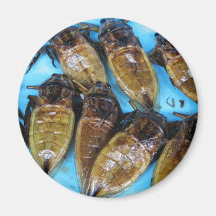 Fried Giant Water Bug (Maeng Daa) ... Asian Food Magnet