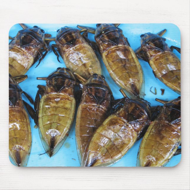 Fried Giant Water Bug (Maeng Daa) ... Asian Food Mouse Pad (Front)