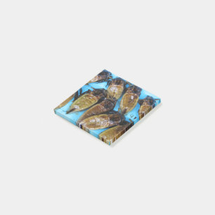 Fried Giant Water Bug (Maeng Daa) ... Asian Food Post-it Notes