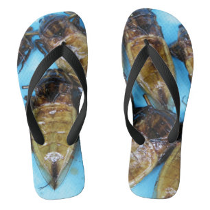 Fried Giant Water Bug (Maeng Daa) ... Asian Food Thongs