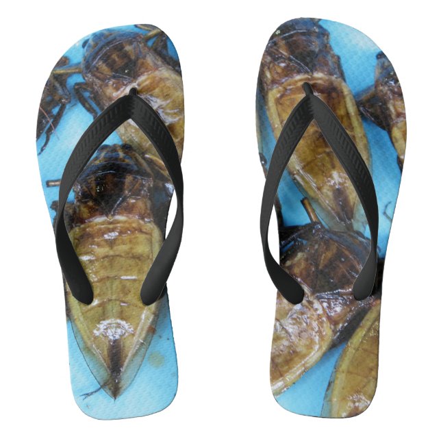 Fried Giant Water Bug (Maeng Daa) ... Asian Food Thongs (Footbed)