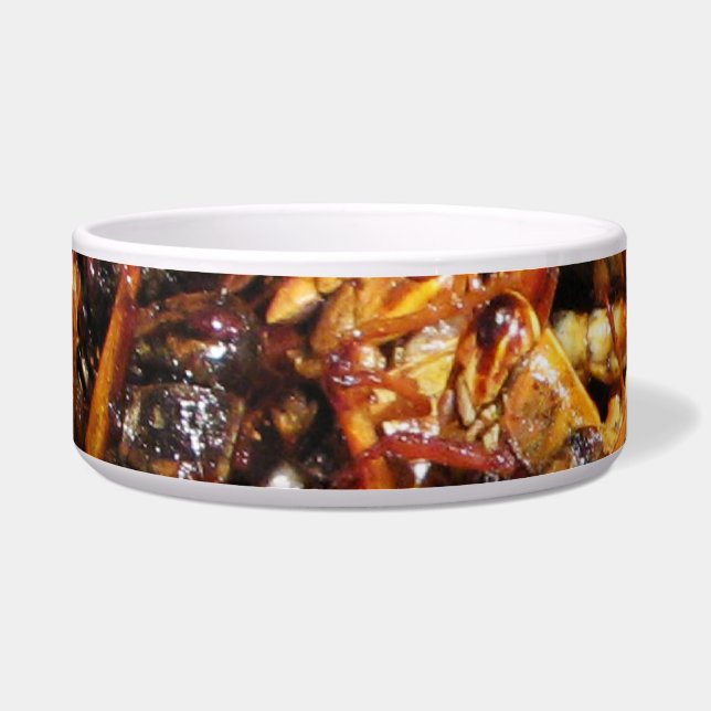 Fried Grasshopper (Takkataen Thot) Asian Food (Front)