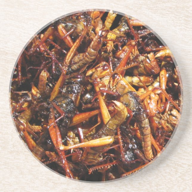 Fried Grasshopper (Takkataen Thot) Asian Food Coaster (Front)