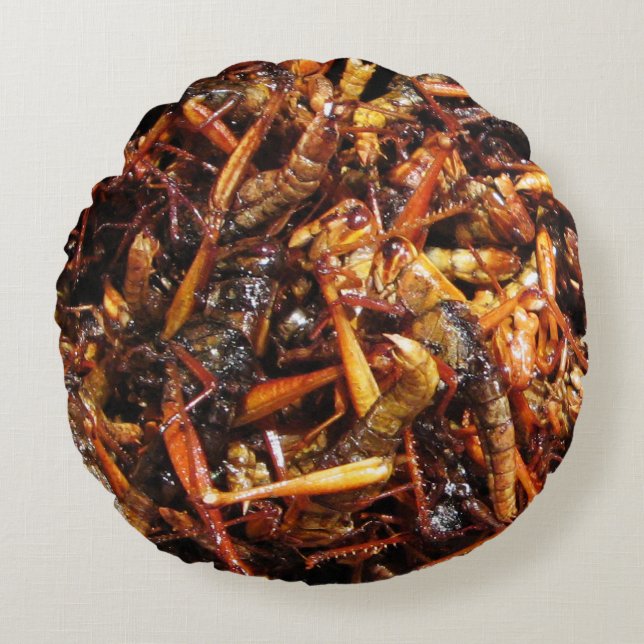 Fried Grasshopper (Takkataen Thot) Asian Food Round Cushion (Front)